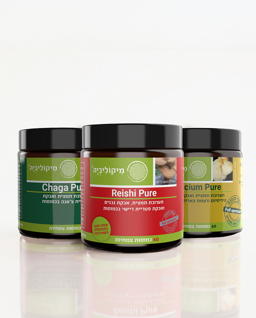מארז לונג'ביטי - צ'אגה, היריסיום וריישי - 60 כמוסות