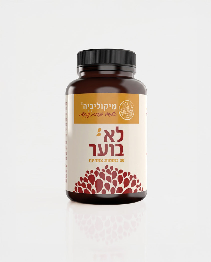 לא בוער