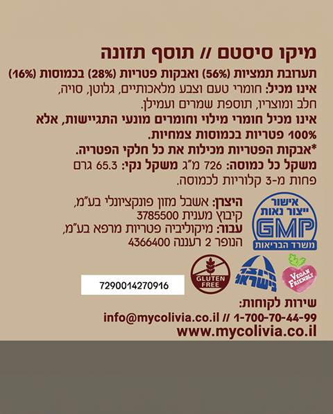 מיקו סיסטם
