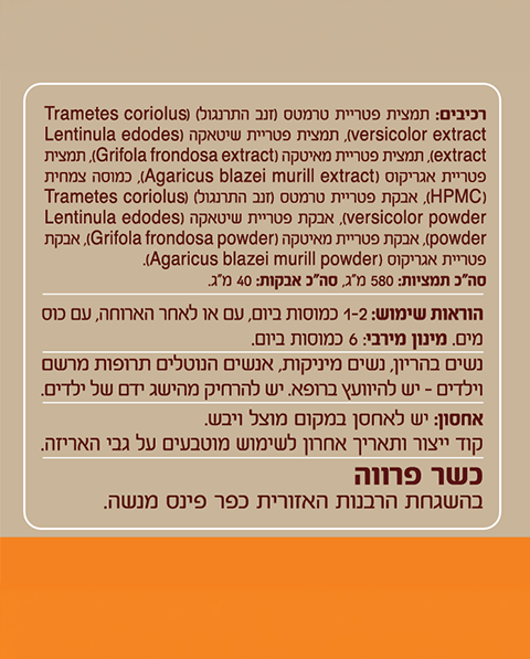 מיקו תראפיק