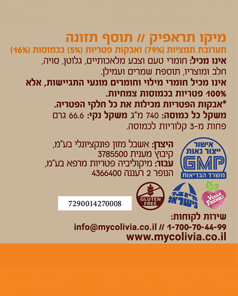 מיקו תראפיק